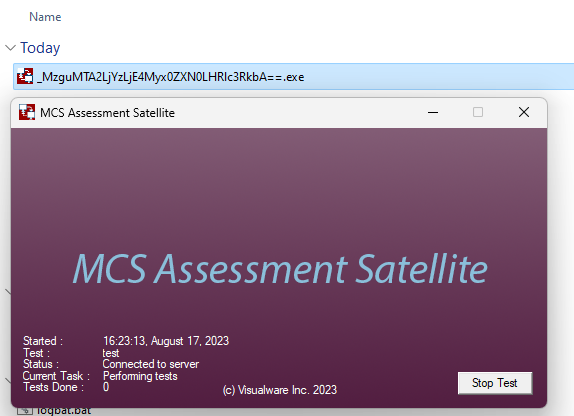 Windows satellite executable file